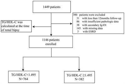 Prognostic Value of Triglyceride to High-Density Lipoprotein Cholesterol Ratio (TG/HDL-C) in IgA Nephropathy Patients